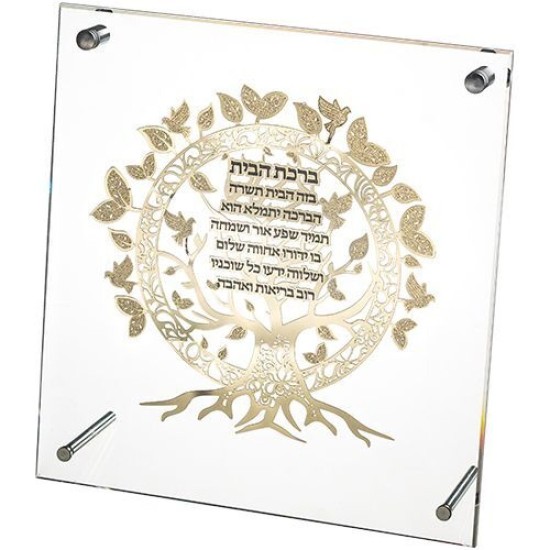 מסגרת אקריליק מהודרת עם פלקטה 23x24 ס"מ
