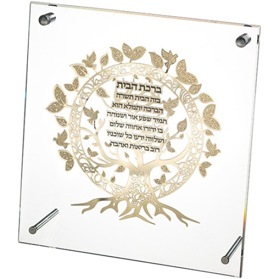מסגרת אקריליק מהודרת עם פלקטה 23x24 ס"מ